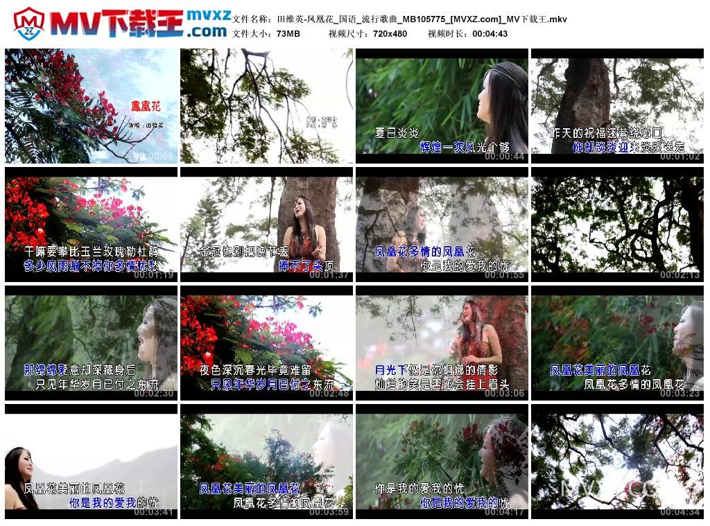 田维英-凤凰花_国语_流行歌曲_MB105775